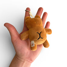 Load image into Gallery viewer, *LAST CHANCE!* Cheeks Bear Plushie🧸