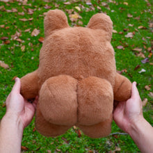 Load image into Gallery viewer, CHEEKED UP Plushie!