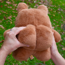 Load image into Gallery viewer, CHEEKED UP Plushie!