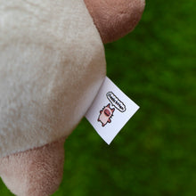 Load image into Gallery viewer, Cheeks Kitten Plushie Keychain!