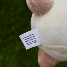 Load image into Gallery viewer, Cheeks Kitten Plushie Keychain!